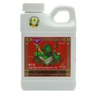 Bud Ignitor 