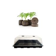 Neptune Seedling Kit - Propagator, Tray with 104 Peat Block Nests