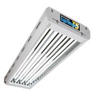 LightWave T5 44-HO CFL lamp (216 W) 4ft 4-tube