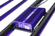 Lumatek Zeus 600W Pro3.1 LED - LED Лампа за Растеж и Цъфтеж