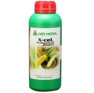 BN X-cel