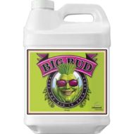 Big Bud – Liquid Bloom Stimulator for Massive Harvests – Advanced Nutrients
