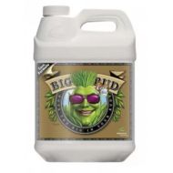 Big Bud Coco – Bloom Stimulator for Coco Coir – Advanced Nutrients